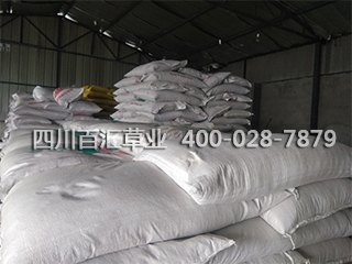 庫房草種 庫房草種