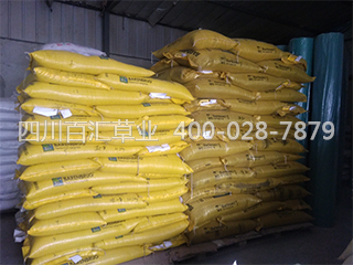 庫房草種 庫房草種