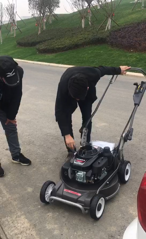 草坪養護 草坪養護