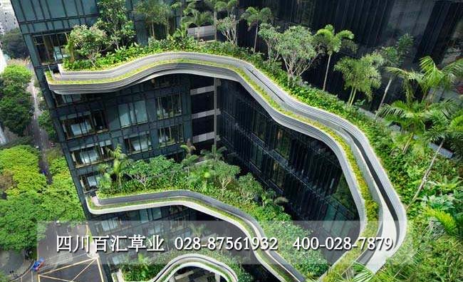 2019100801屋頂綠化.jpg 2019100801屋頂綠化.jpg