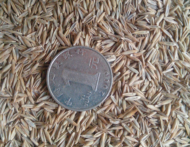 獵狗6號19082201.jpg 獵狗6號19082201.jpg