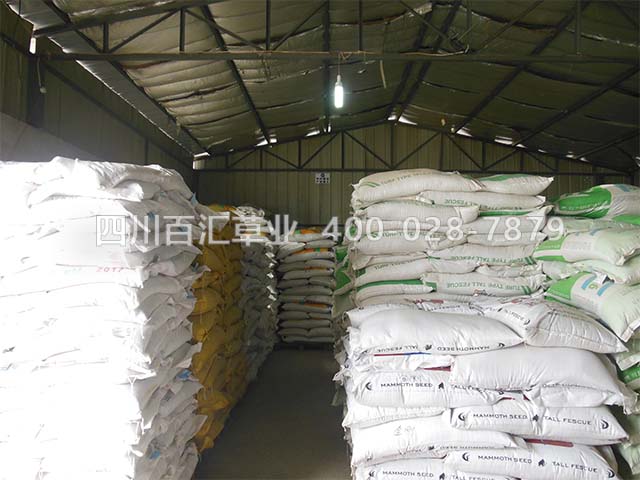 邊坡草籽 邊坡草籽